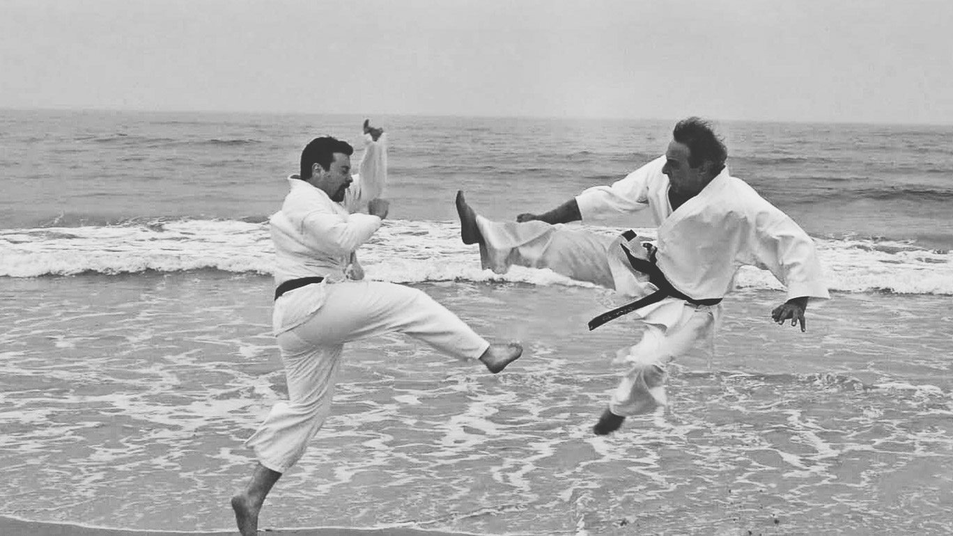 Filié Sensei executando um tobi-geri (chute voador)