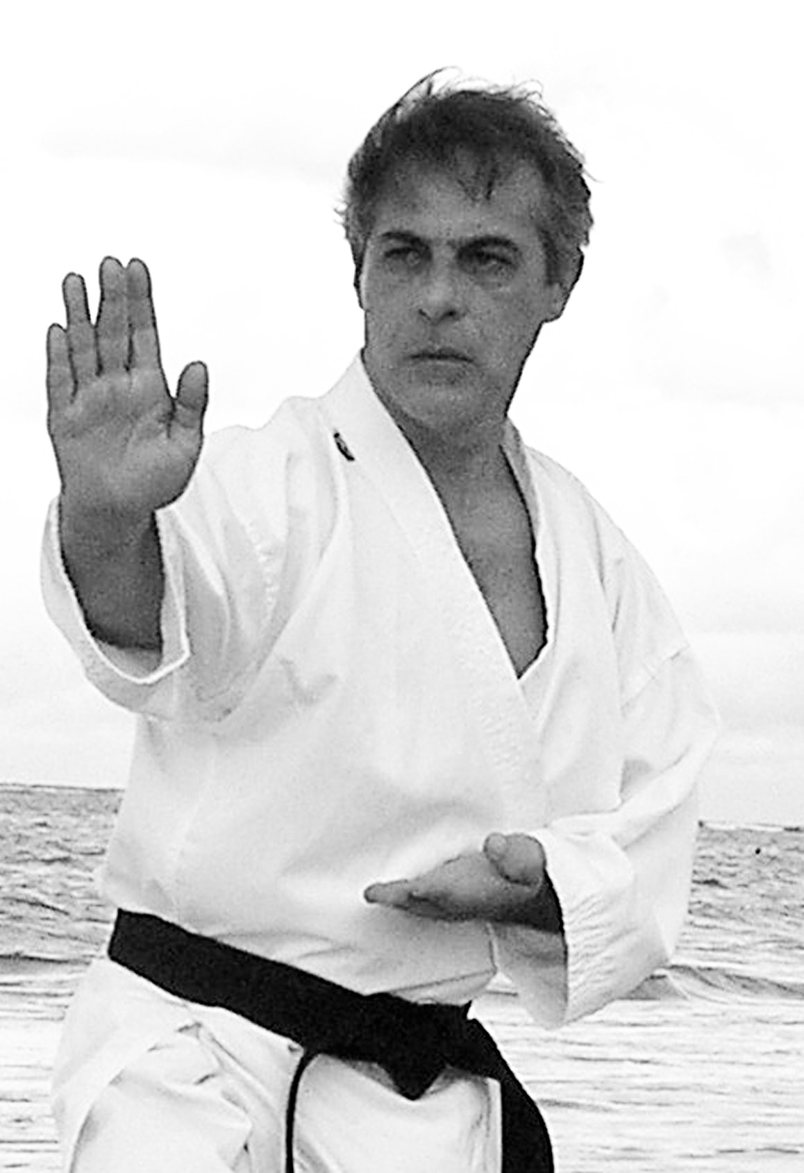 Retrato de Filié Sensei
