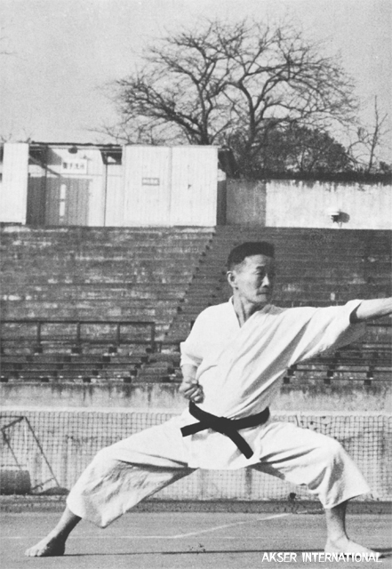 Tadao Usami Sensei